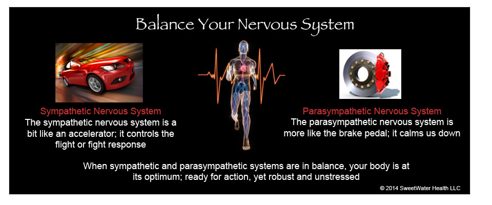 Balance Your Nervous System
